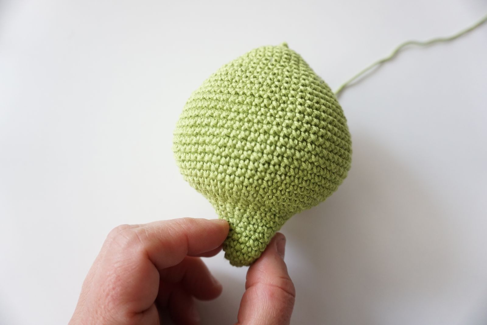 Blog-Inhaltsbild für 'Häkelanleitung Fleischfressende Pflanze "Gisbert"'