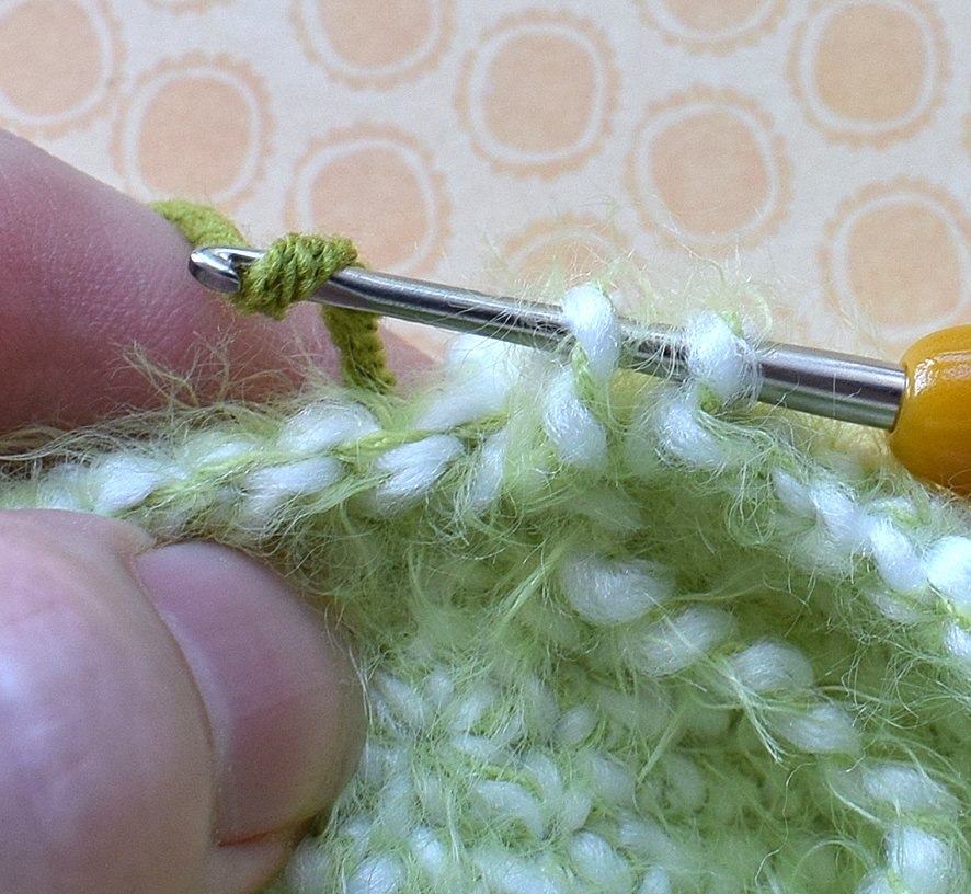 Blog content image for 'Caterpillar cover or case'