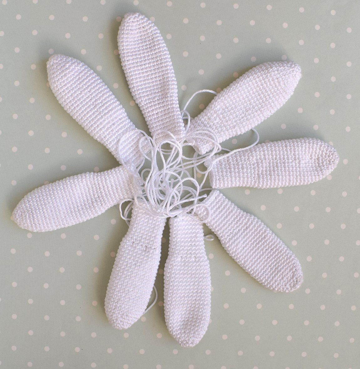 Blog-Inhaltsbild für 'Kamille Wahrsagerei'