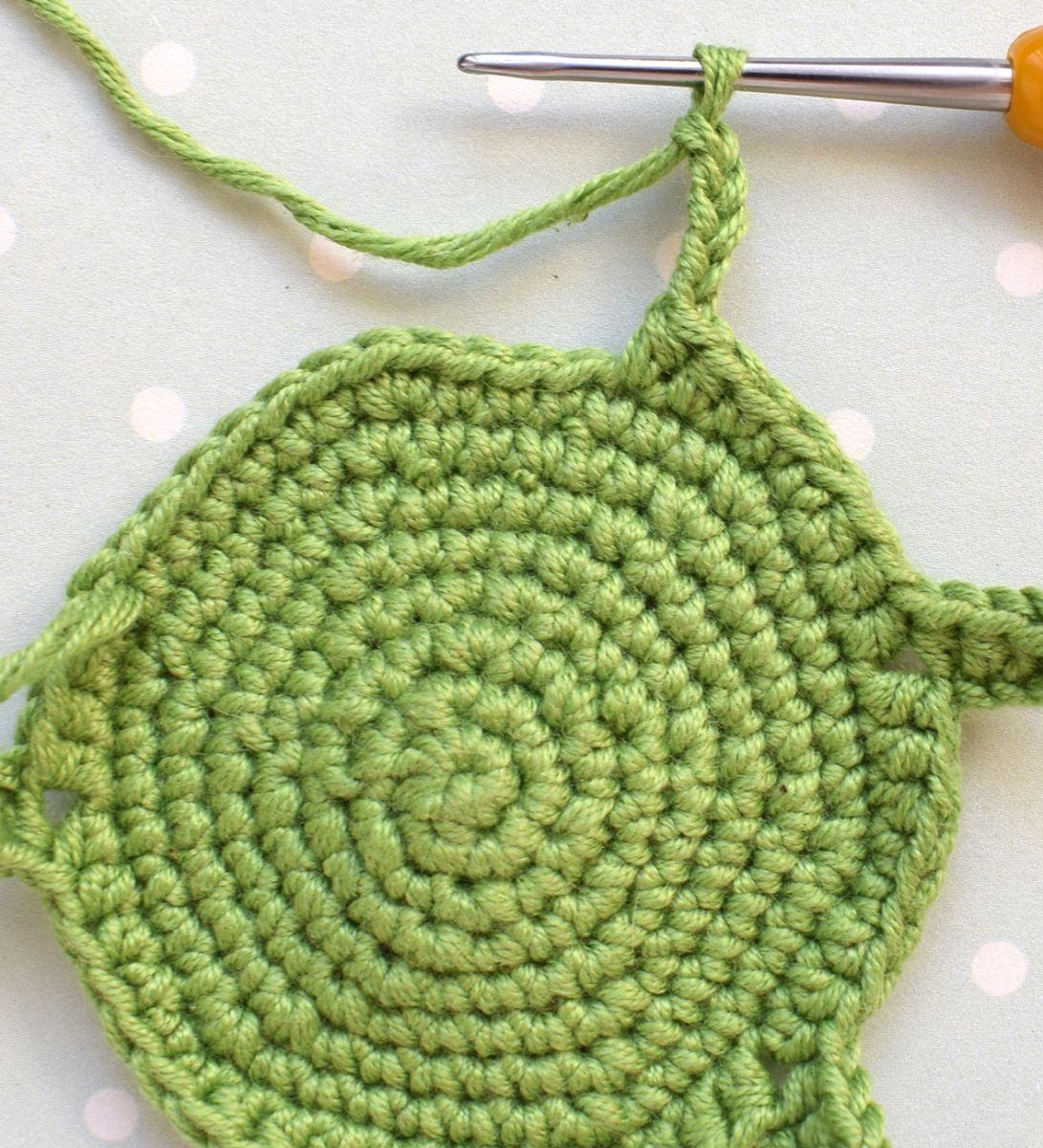 Blog-Inhaltsbild für 'Kamille Wahrsagerei'