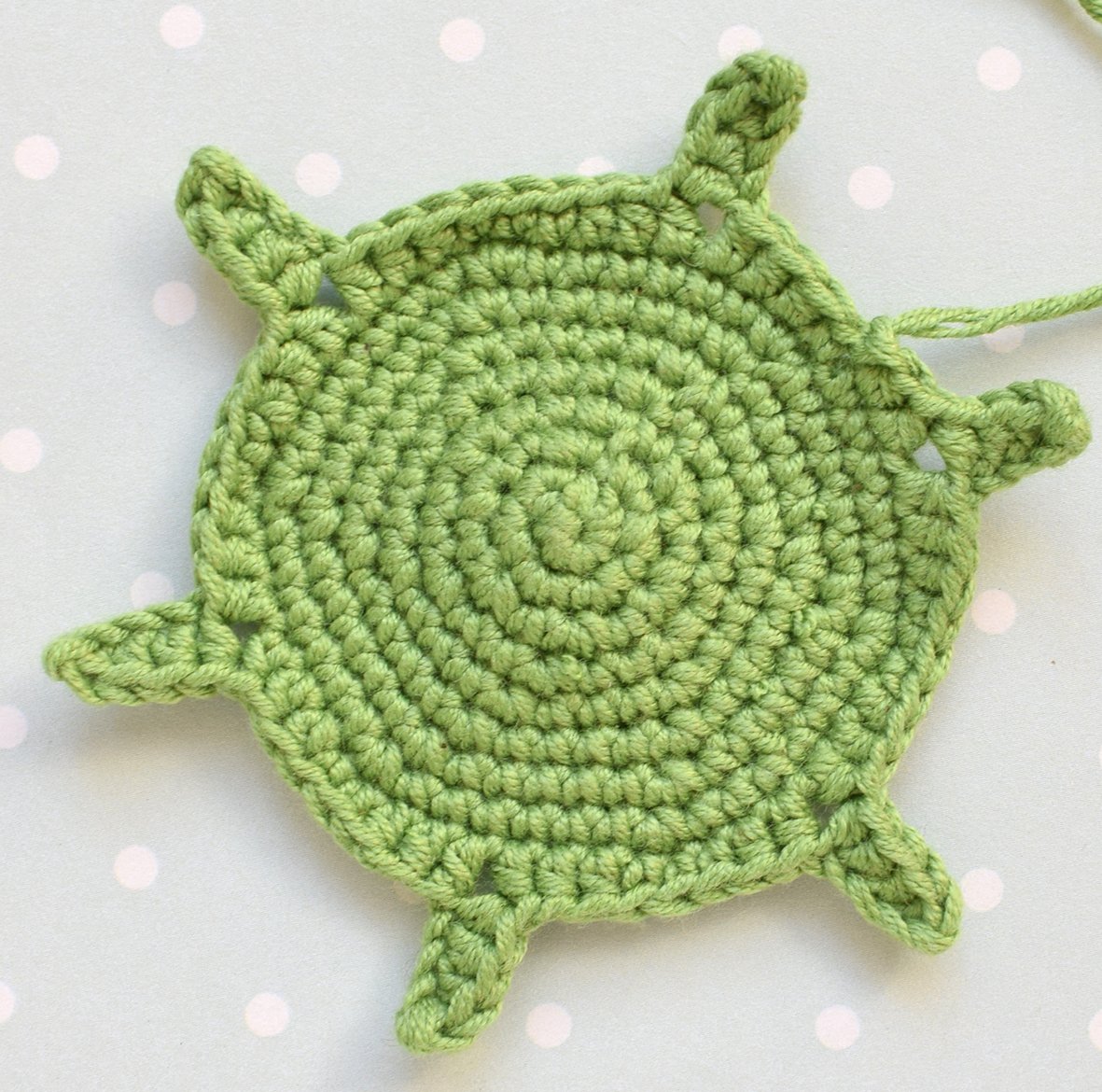 Blog-Inhaltsbild für 'Kamille Wahrsagerei'