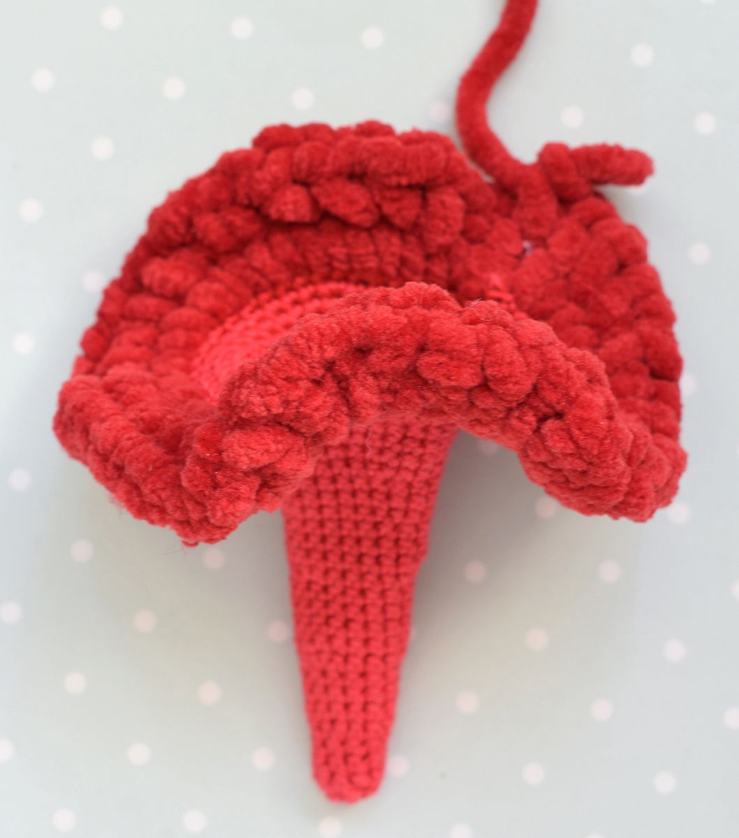 Blog-Inhaltsbild für 'Die Blume von Celosia Brosche'