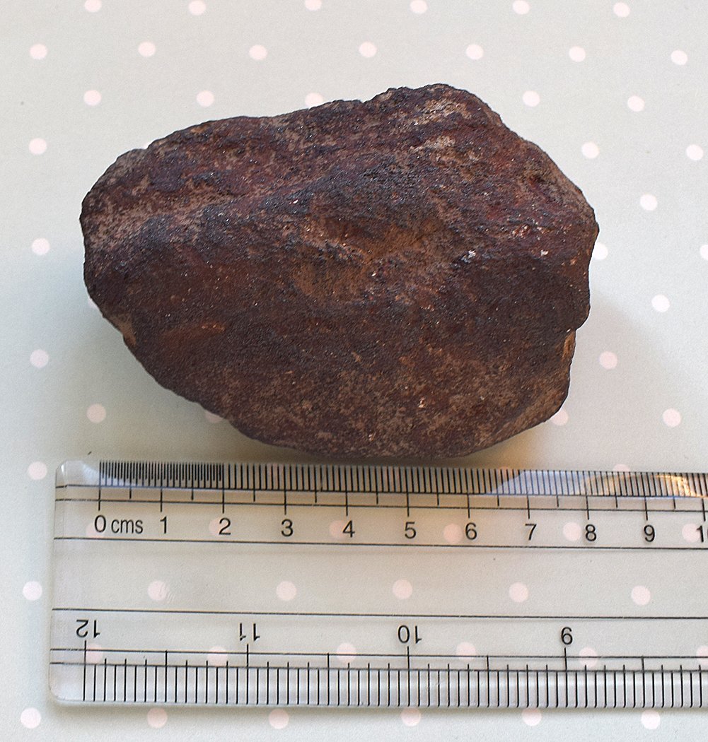 Blog-Inhaltsbild für '«Ein Feld von Fliegenpilzen » – Ringständer'