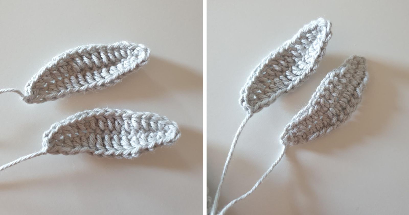 Die Ohren einmal von der Vorderseite zu sehen und einmal von der Rückseite.