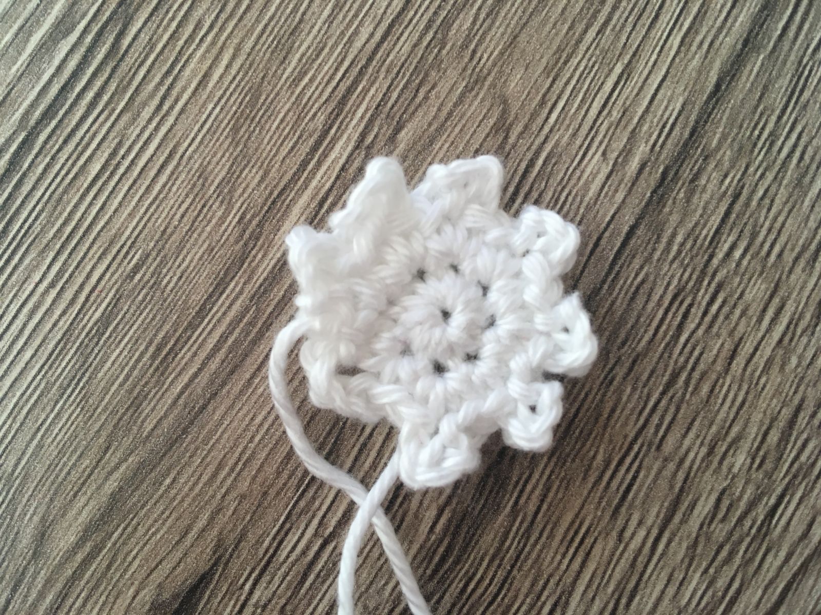 Blog-Inhaltsbild für 'Blumiger Bilderrahmen, kostenlose Häkelanleitung'