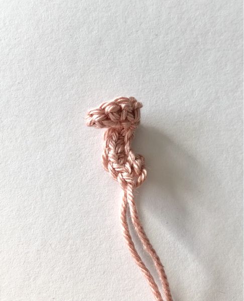 Blog-Inhaltsbild für 'Kostenlose Häkelanleitung Schwein'