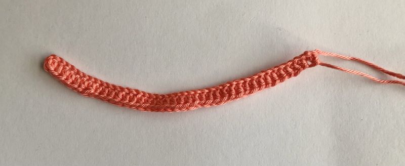 Blog-Inhaltsbild für 'Kostenlose Häkelanleitung Nilpferd Ballerina'