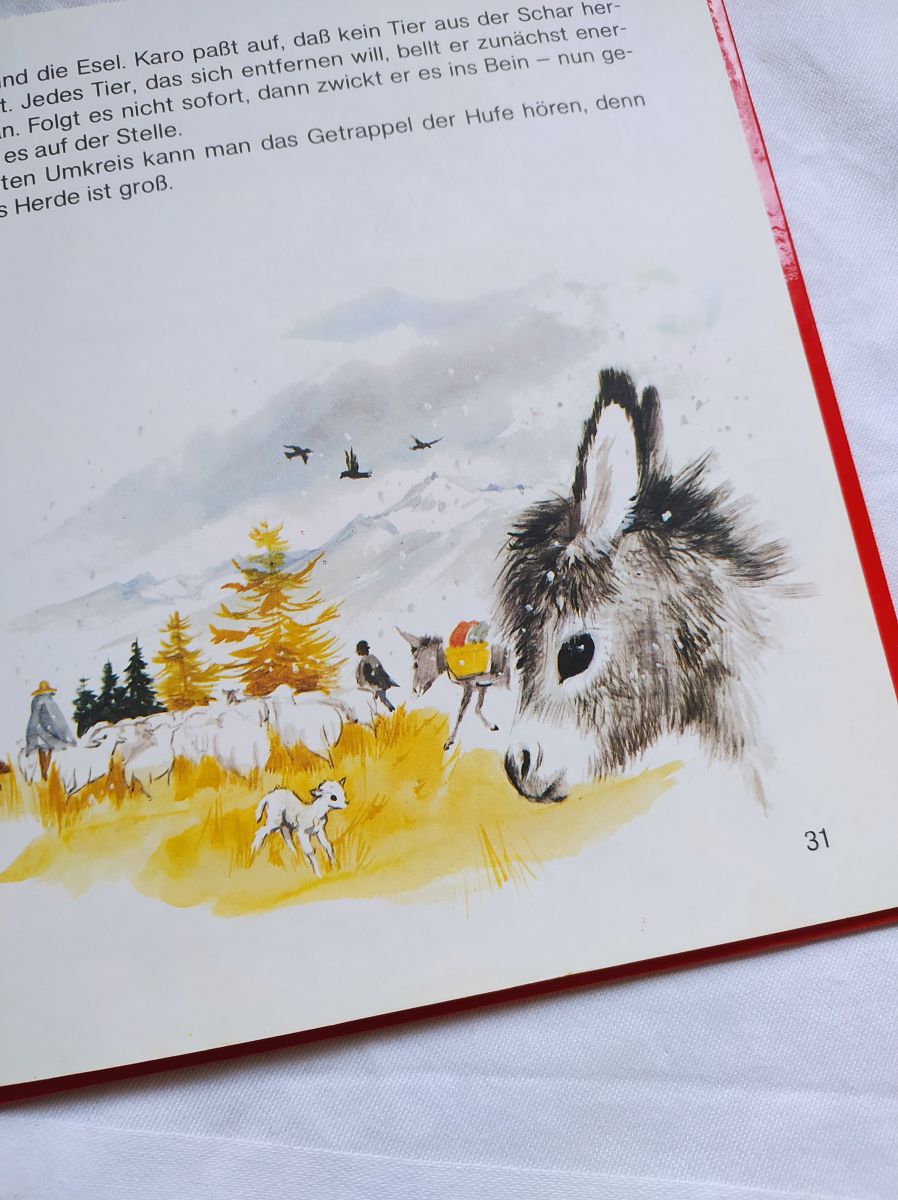 Blog-Inhaltsbild für 'Kostenlose Häkel- und Bastelanleitung für das Umhäkeln von Bilder / Postkarten'