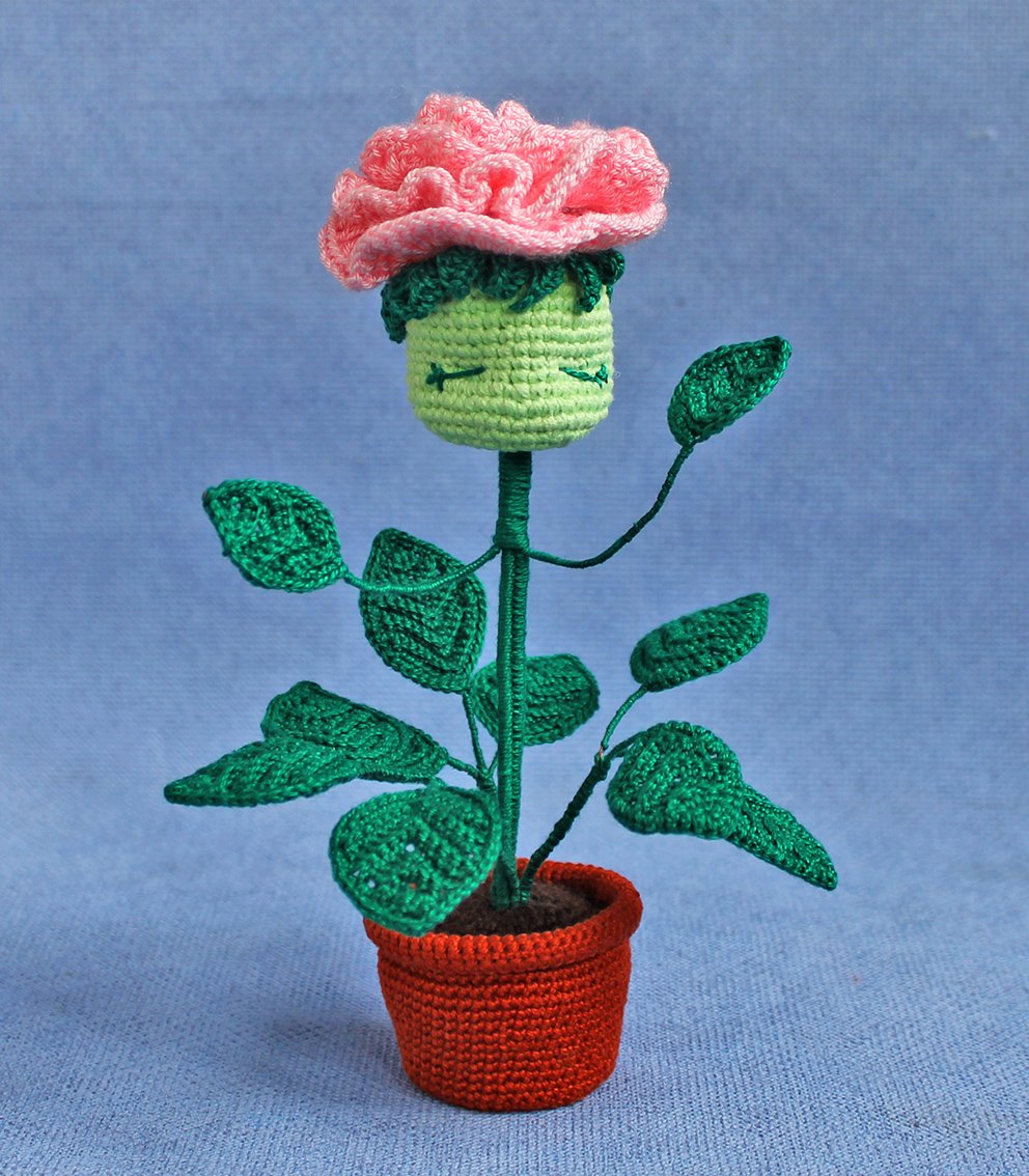 Blog content image for 'A potted rose'