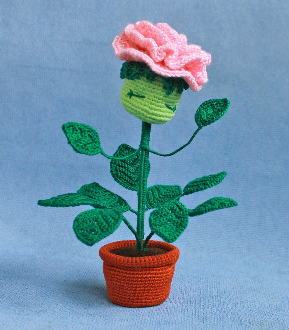 Blog content image for 'A potted rose'