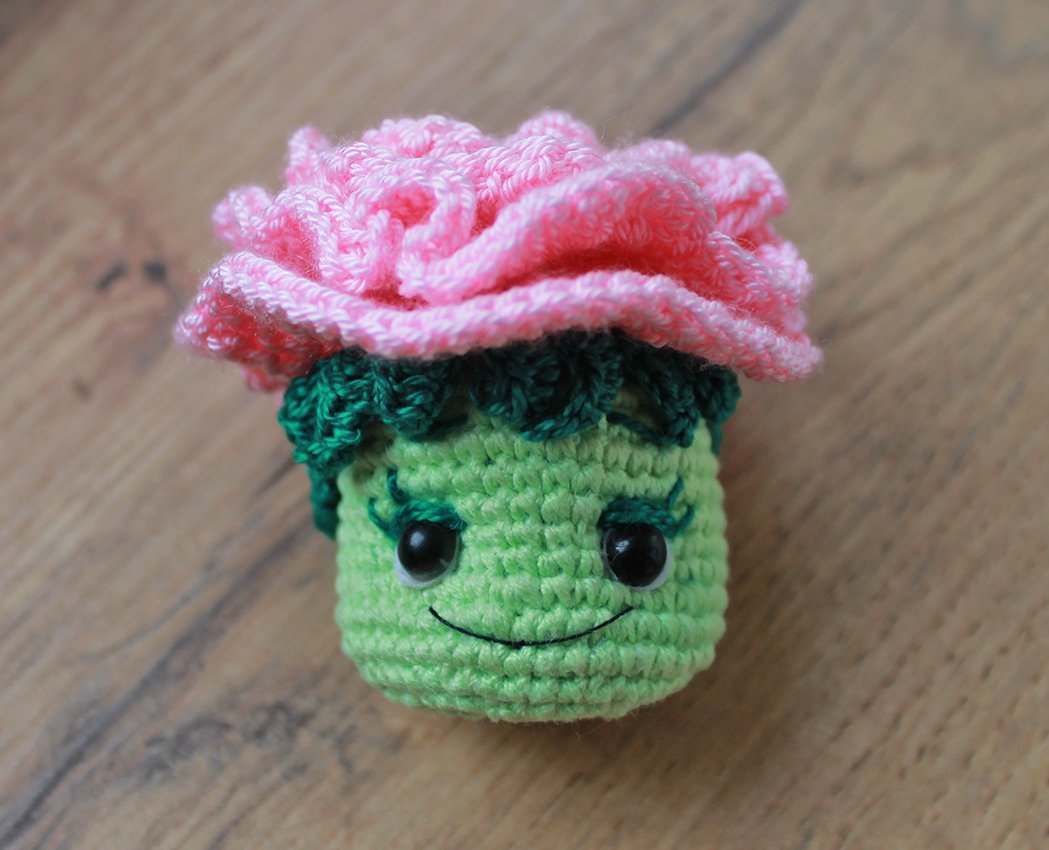 Blog content image for 'A potted rose'