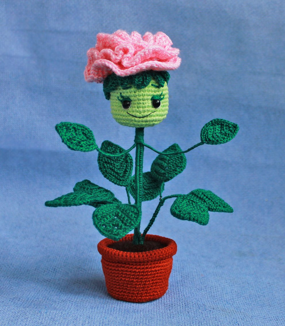 Blog content image for 'A potted rose'