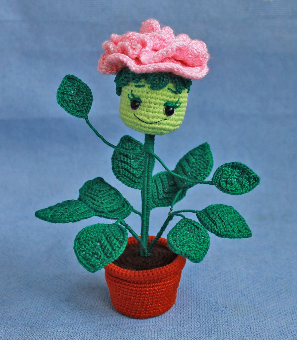 Blog content image for 'A potted rose'