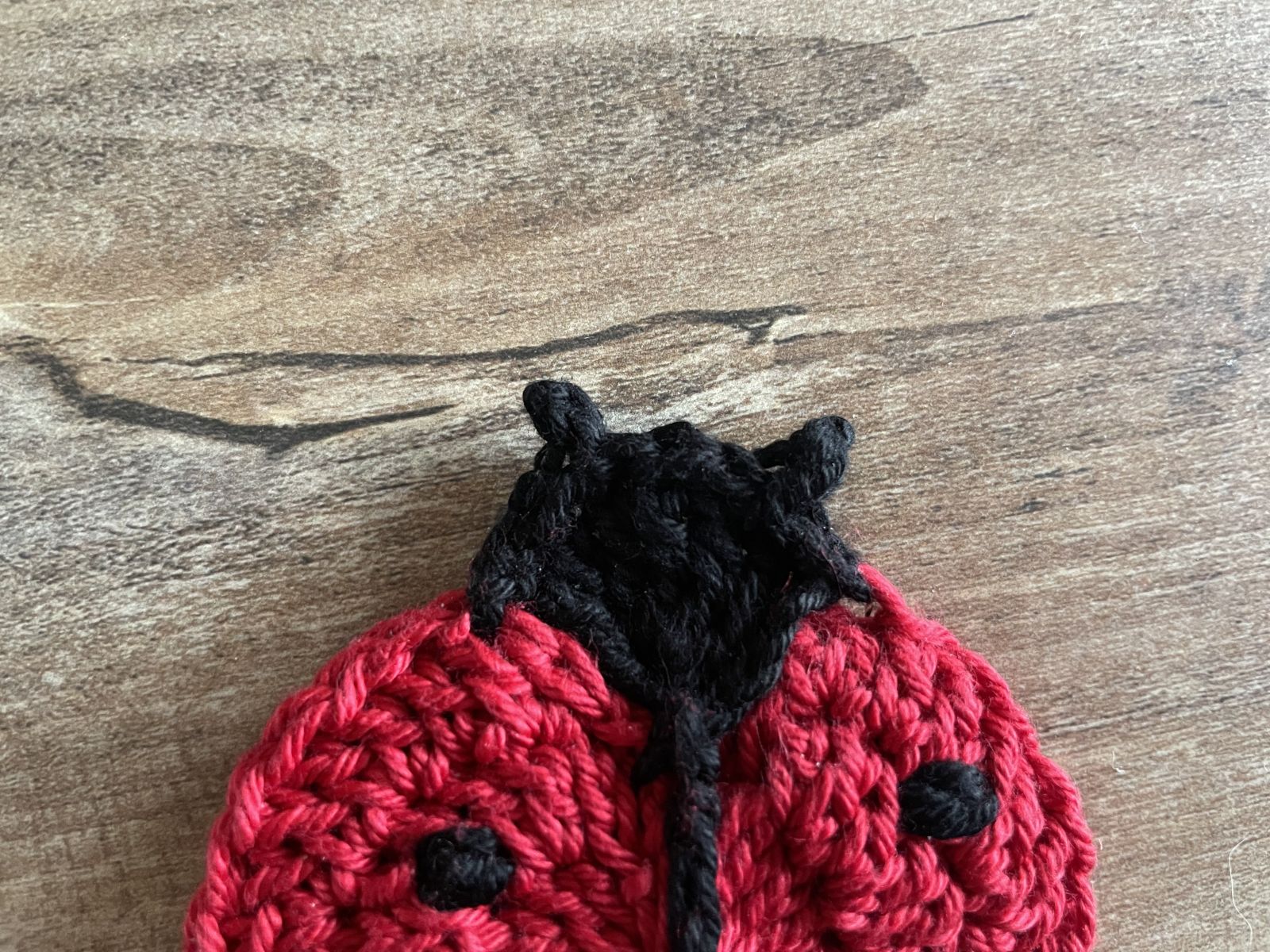 Blog content image for 'Crochet fun for the whole family: free instructions for ladybugs for windows and memory game'