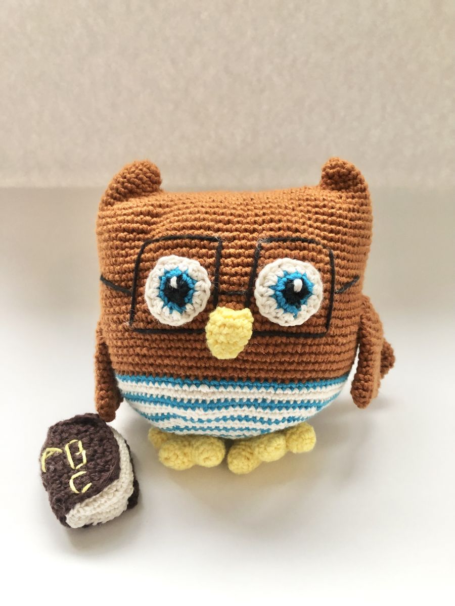 Blog-Inhaltsbild für 'Kostenlose Anleitung Leseeule'