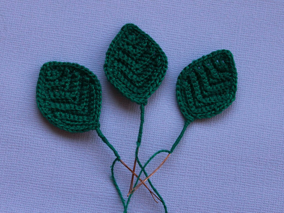 Blog content image for 'A potted rose'