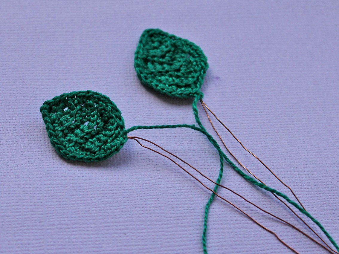 Blog content image for 'A potted rose'