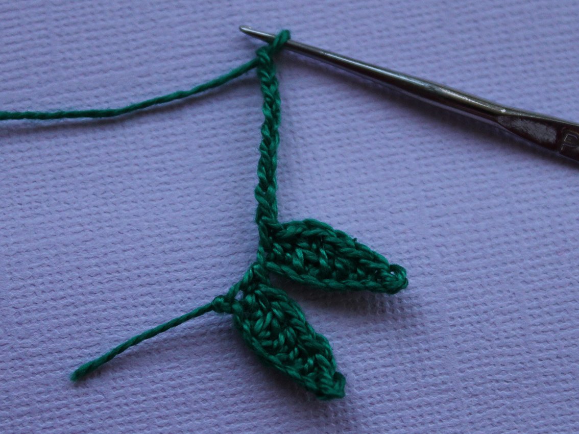 Blog content image for 'A potted rose'