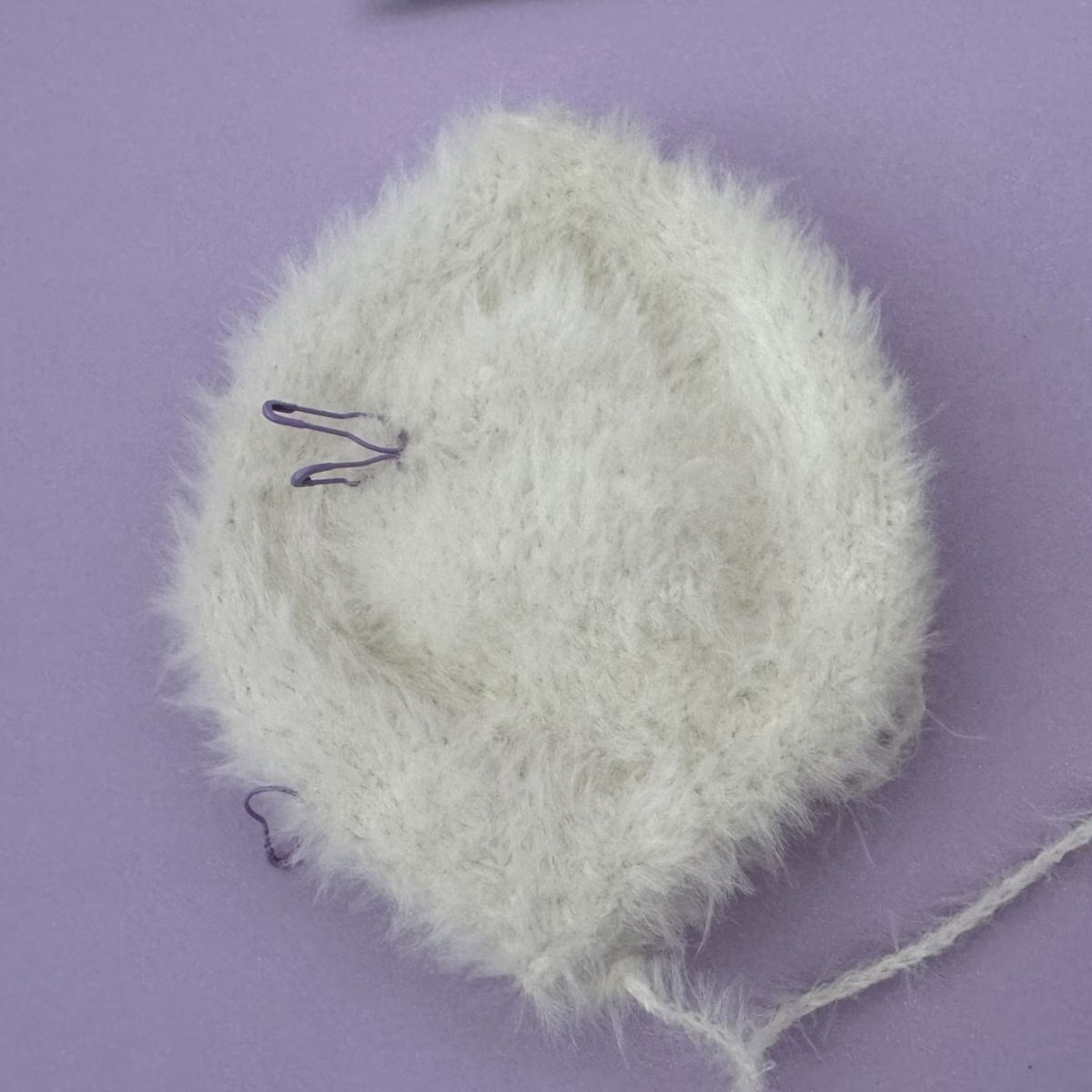 Blog-Inhaltsbild für 'Die weiße Maus'