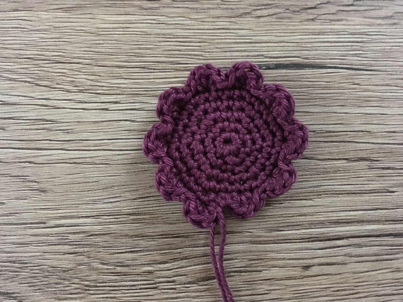 Blog-Inhaltsbild für 'Vogelvilla "Frühlingserwachen" Teil 1 Vogelvilla'