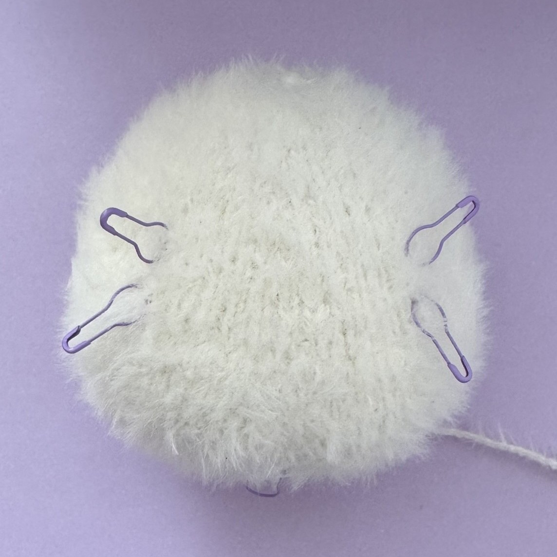 Blog-Inhaltsbild für 'Die weiße Maus'