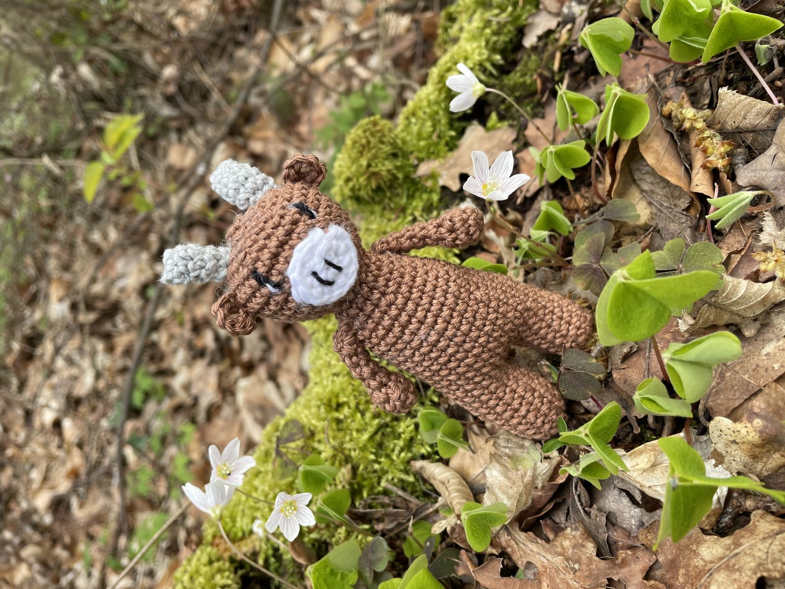 Blog-Inhaltsbild für 'Häkelanleitung "Kleiner Stier"'