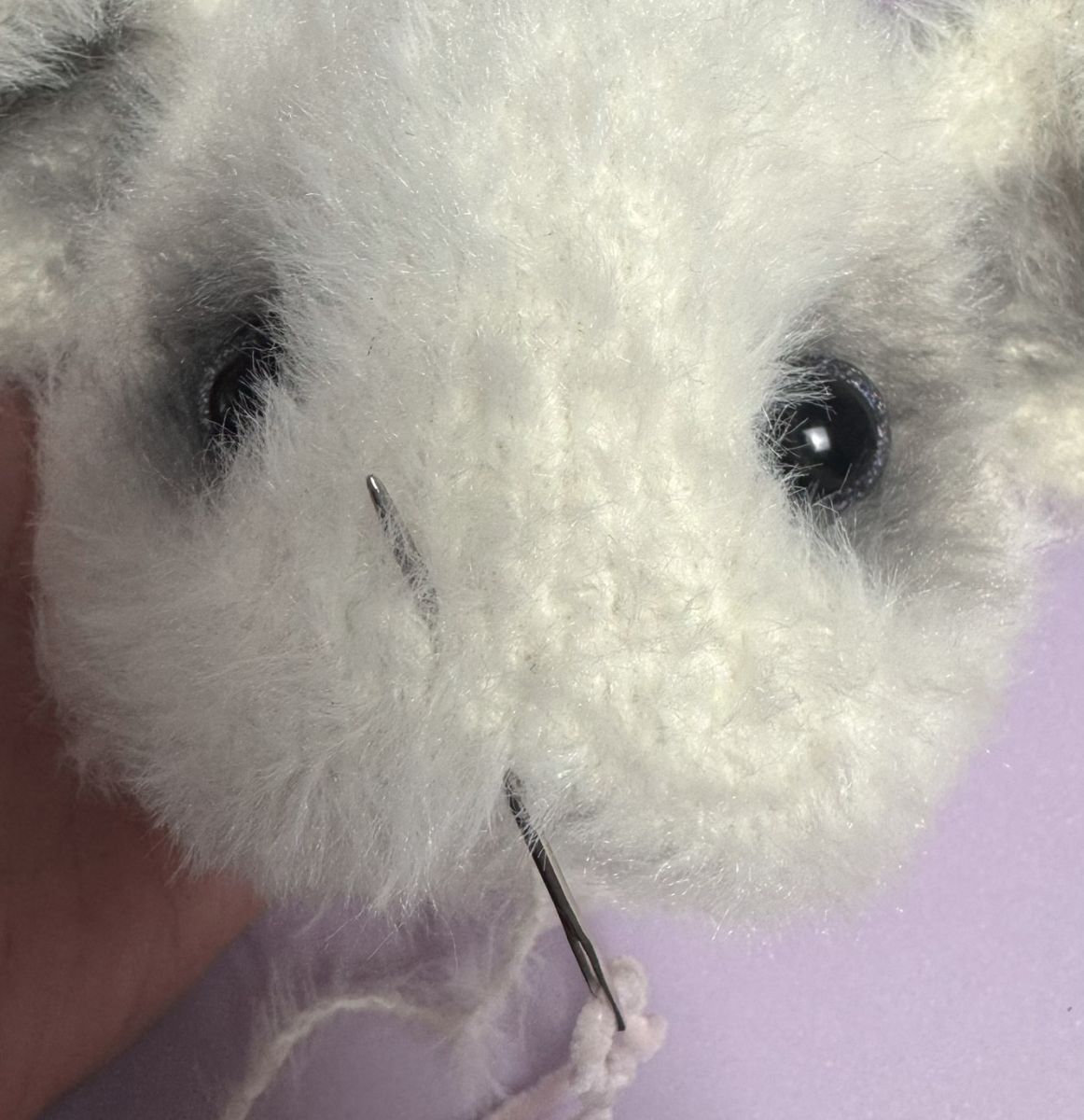 Blog-Inhaltsbild für 'Die weiße Maus'