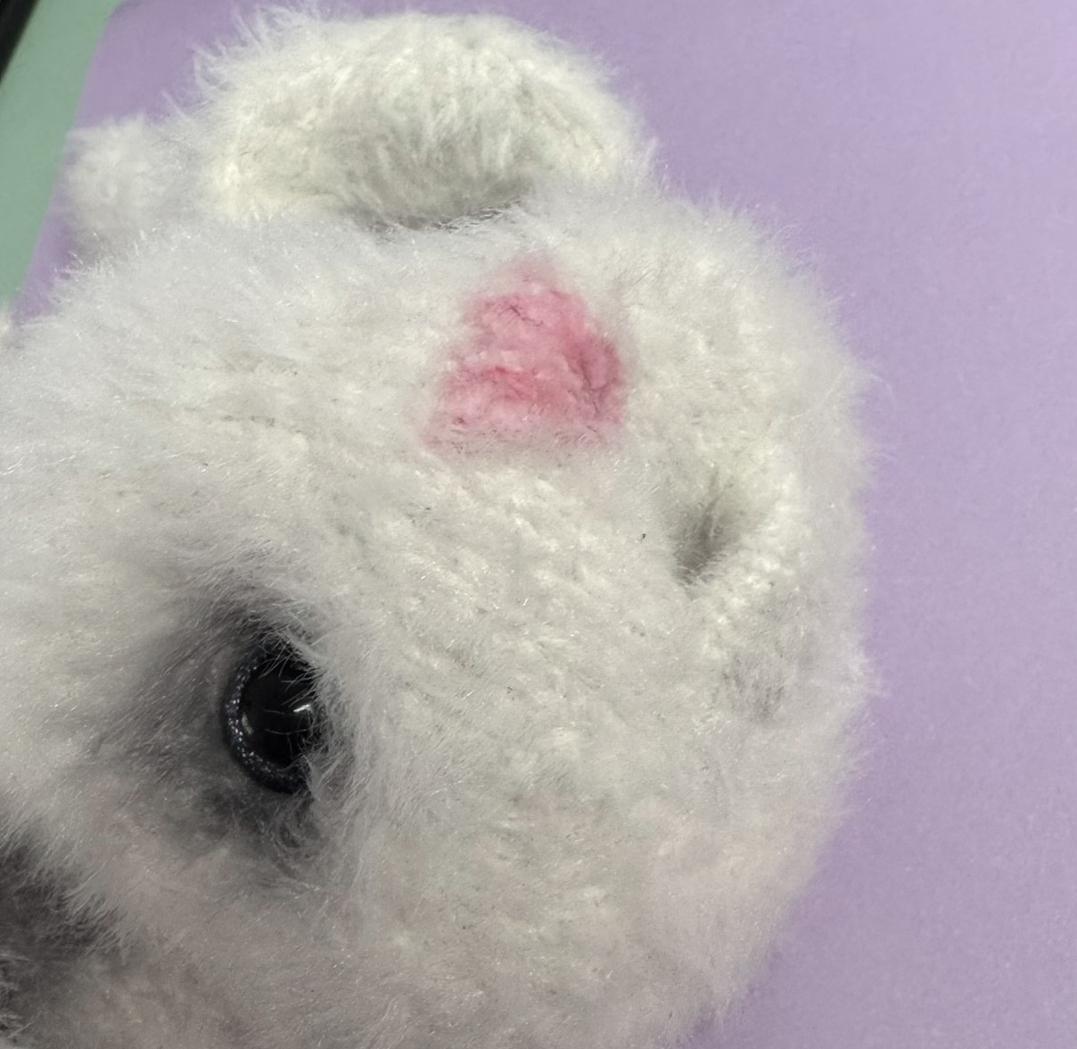 Blog-Inhaltsbild für 'Die weiße Maus'