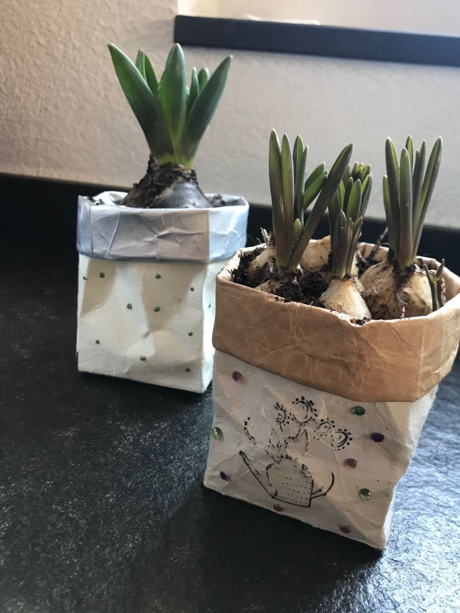 Blog-Inhaltsbild für 'Übertöpfe upcycling aus Tetra Paks'