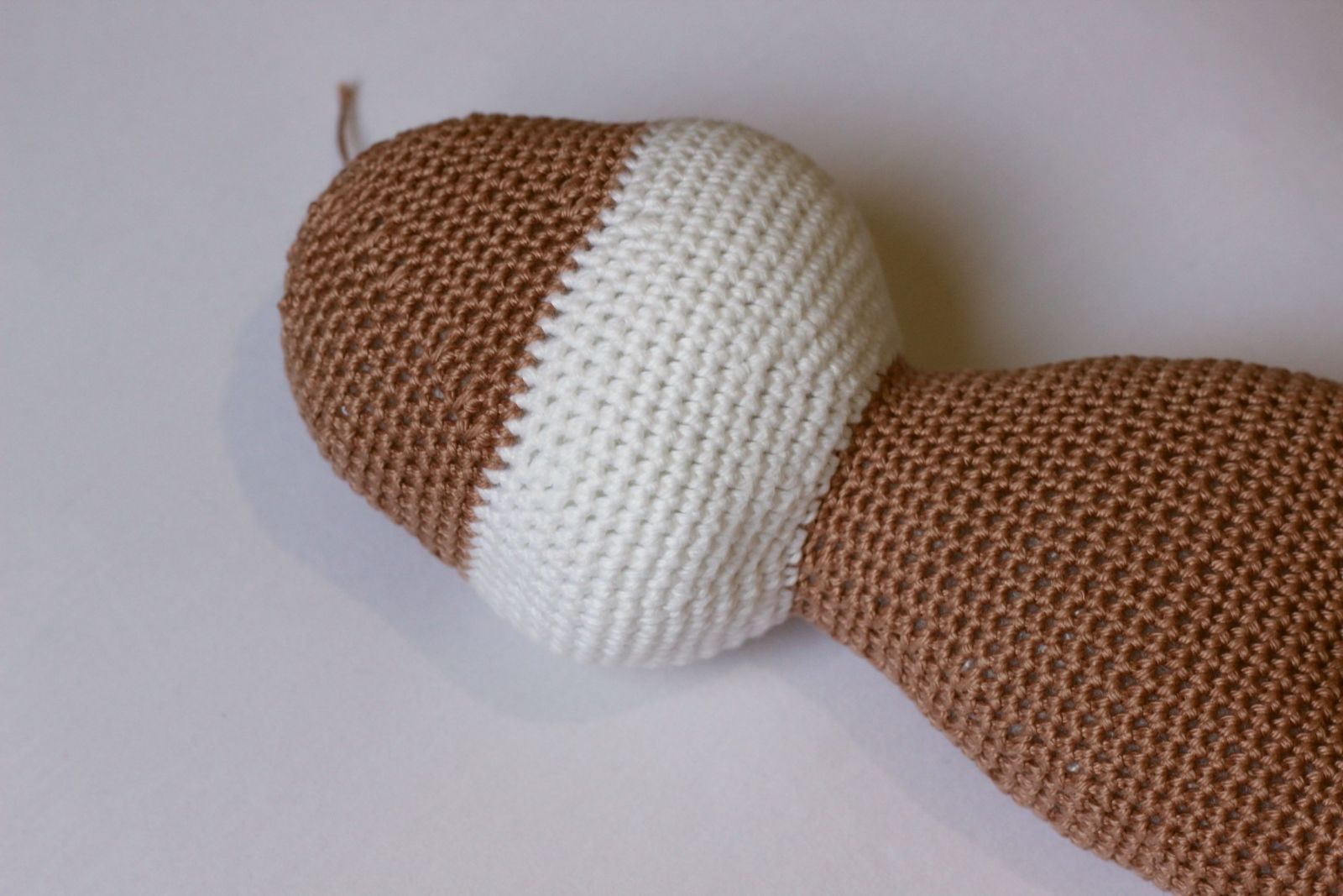 Blog content image for 'Free Crochet Pattern for Dog'