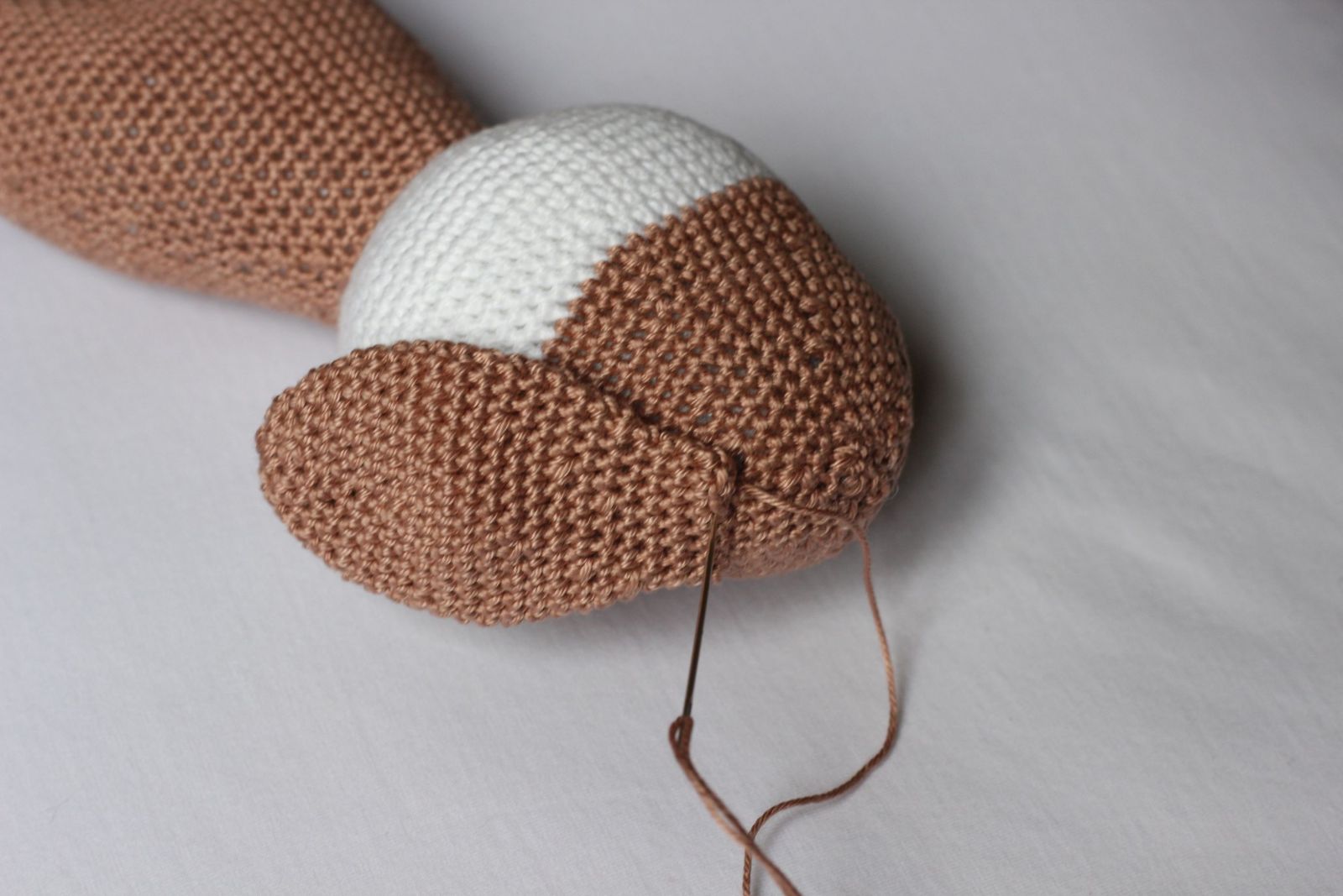 Blog content image for 'Free Crochet Pattern for Dog'