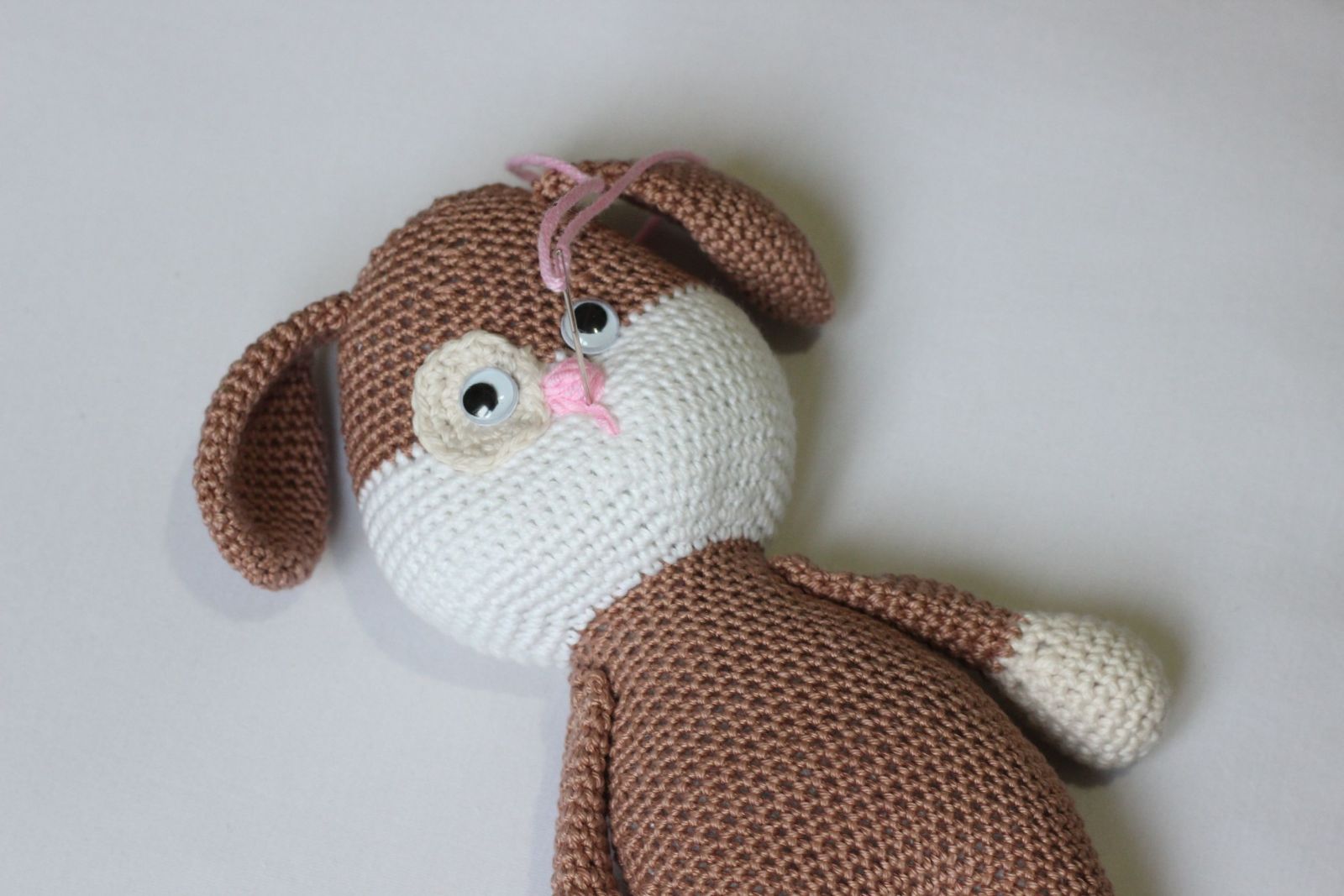 Blog content image for 'Free Crochet Pattern for Dog'