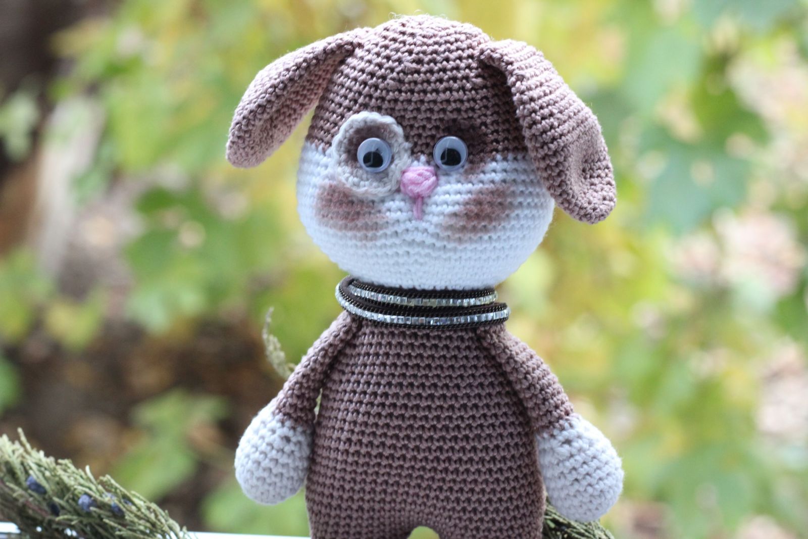 Blog content image for 'Free Crochet Pattern for Dog'