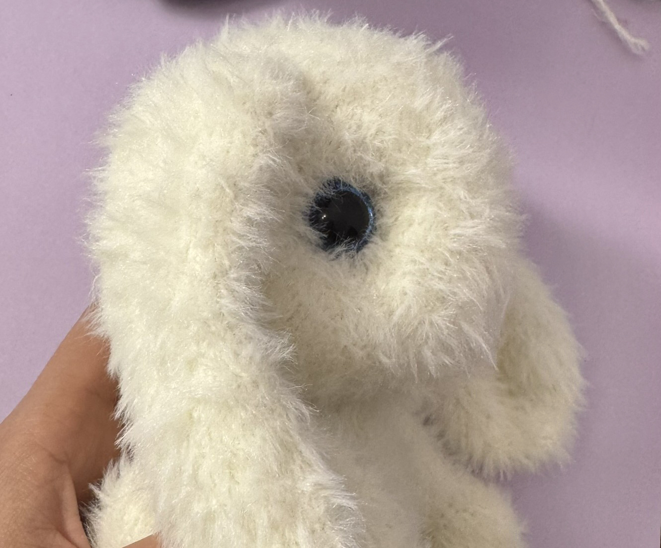 Blog content image for 'The cuddly, wise bunny'