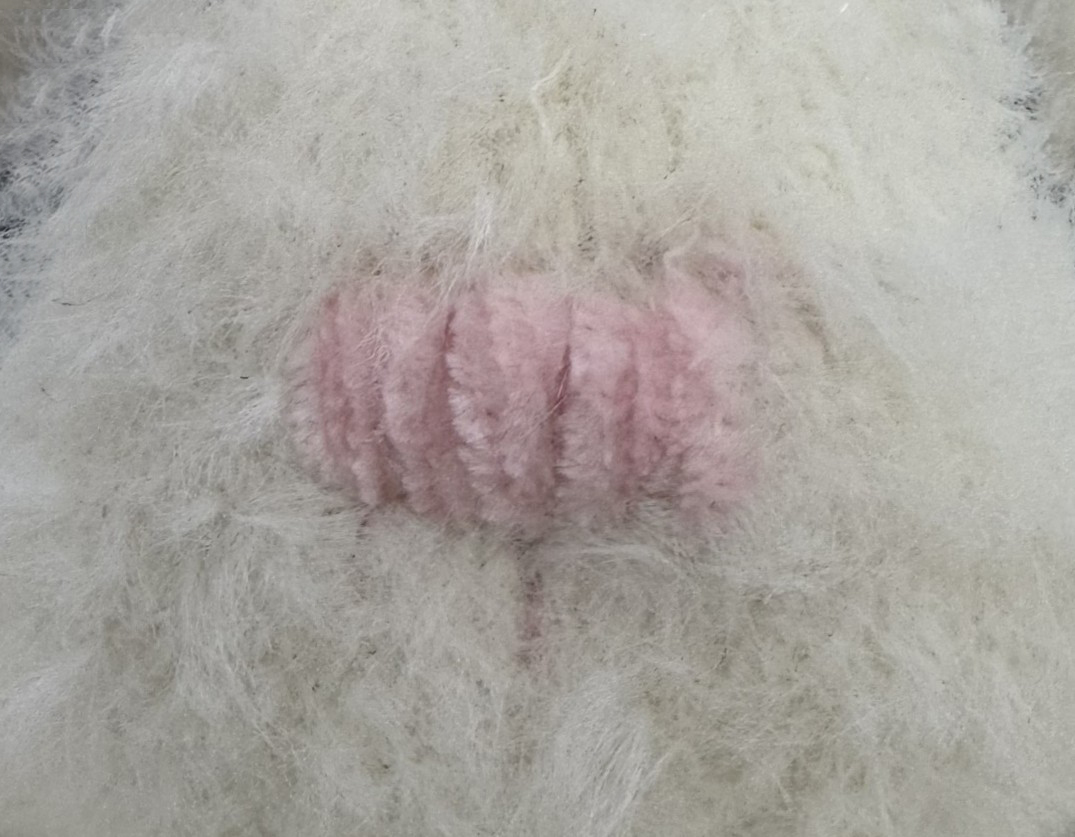 Blog content image for 'The cuddly, wise bunny'