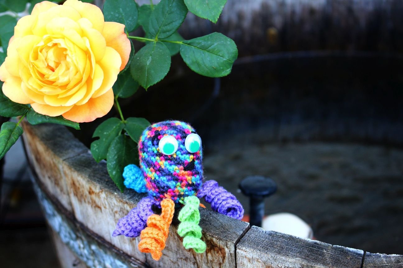Free Crochet Pattern for Little Octopus