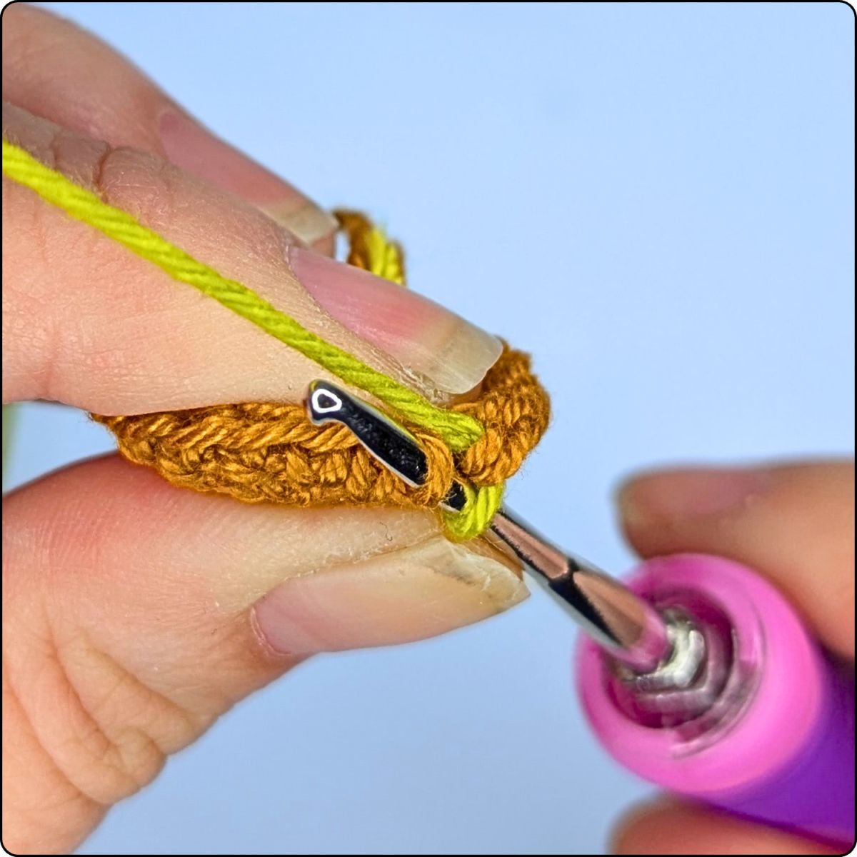 Blog content image for 'Free No-Sew Crochet Pattern: Avocado Keychain'