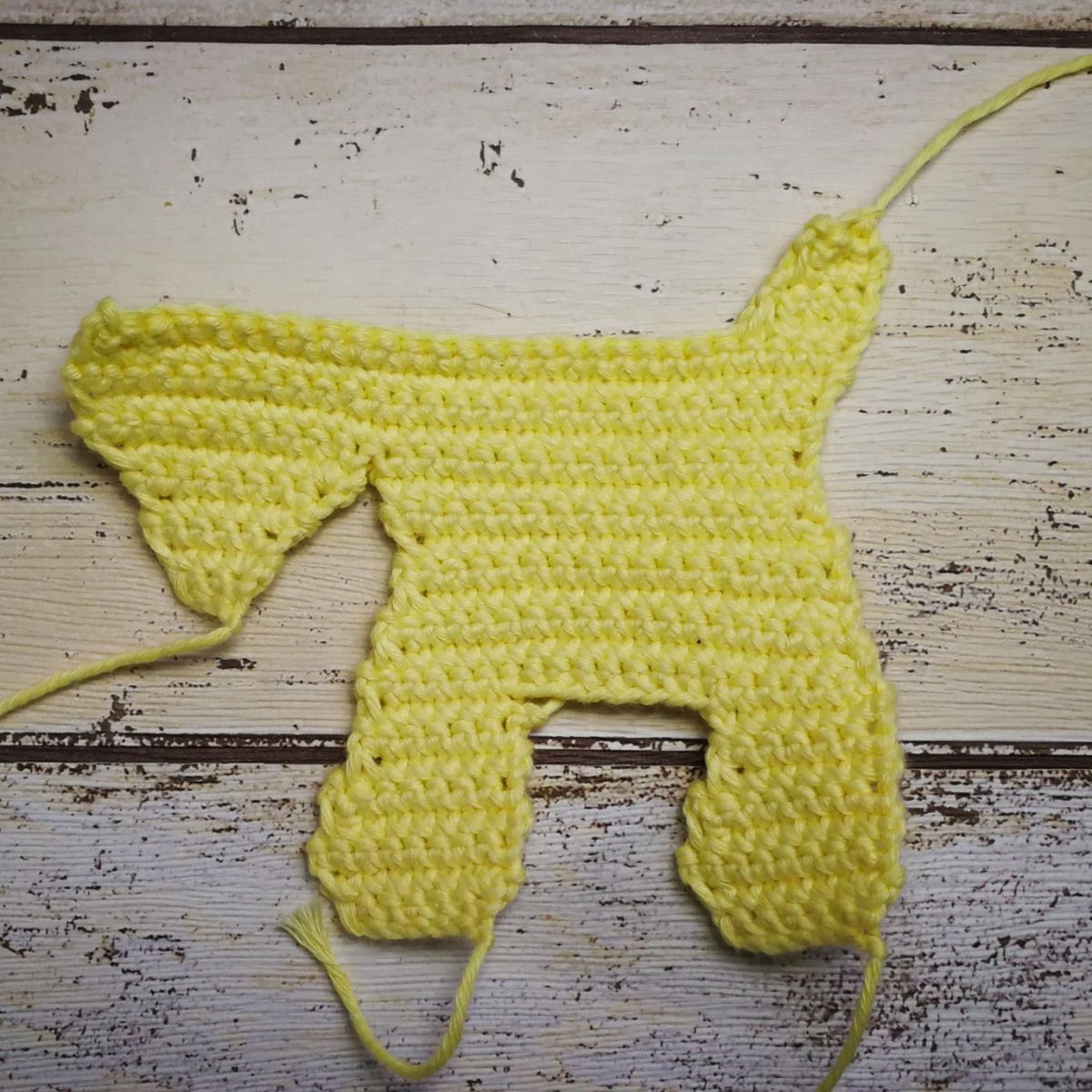 Blog-Inhaltsbild für 'Süße Wachhündchen als Knistertierchen, Schnilli - Beschützer, oder Anhänger'