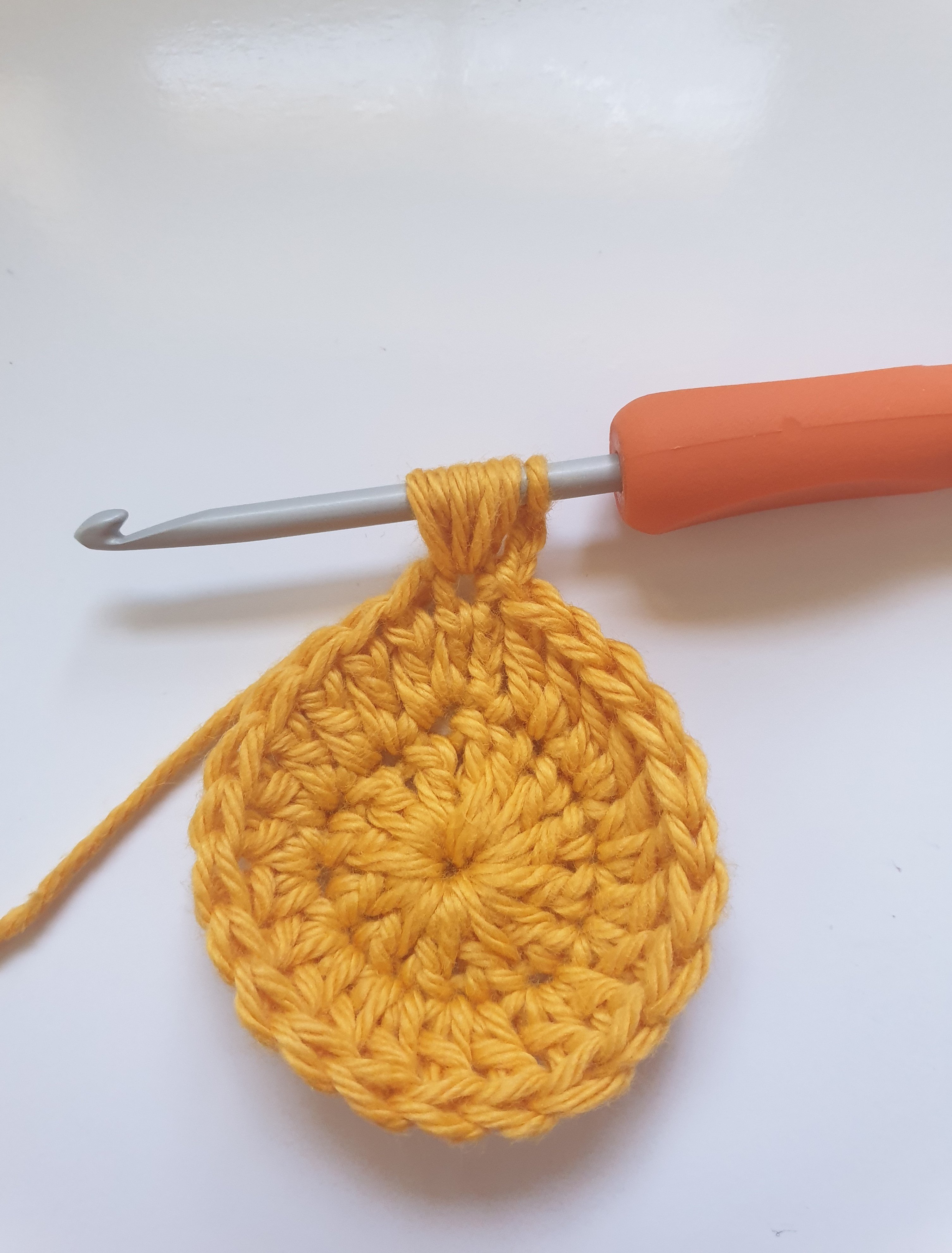 Blog-Inhaltsbild für 'Kostenlose Häkel Anleitung Gesichts Scrubbies'