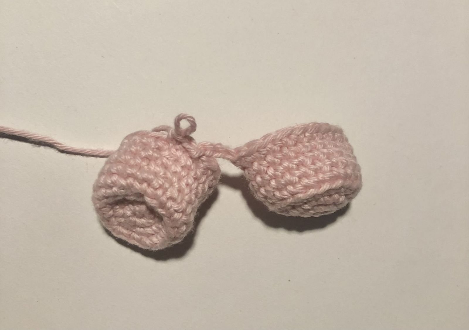 Blog-Inhaltsbild für 'Kostenlose Anleitung Schwein'