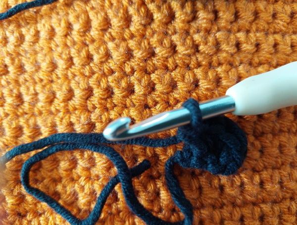 Blog-Inhaltsbild für 'Kostenlose Häkelanleitung: Flaschenhülle Kürbis – Das perfekte Halloween-Mitbringsel'