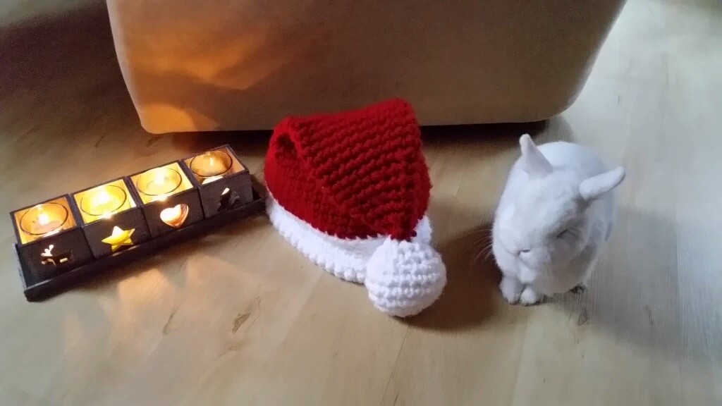 Ich bin der Weihnachtsmann! Ich bin der Weihnachtsmann!