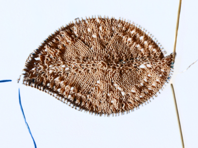 Blog-Inhaltsbild für 'Kostenlose Strickanleitung für rautenförmiges Deckchen'