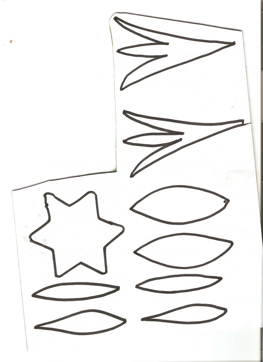 Blog-Inhaltsbild für 'Sag es mit Blumen zum Muttertag, Geburtstag und mehr....'