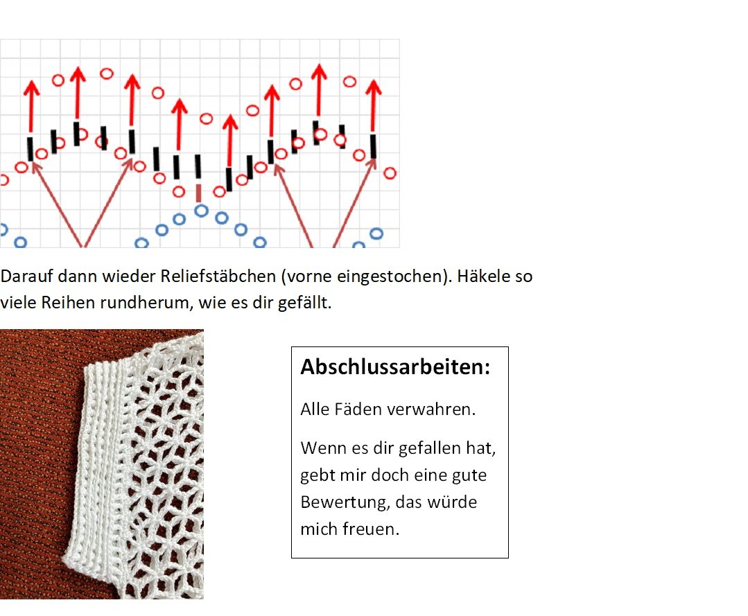 Blog-Inhaltsbild für 'Ein Netzshirt im schönen Blumenmuster / Sternemuster'