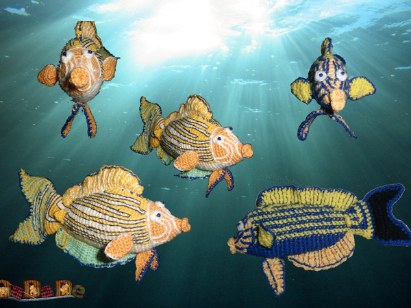 Der Doktorfisch Donico