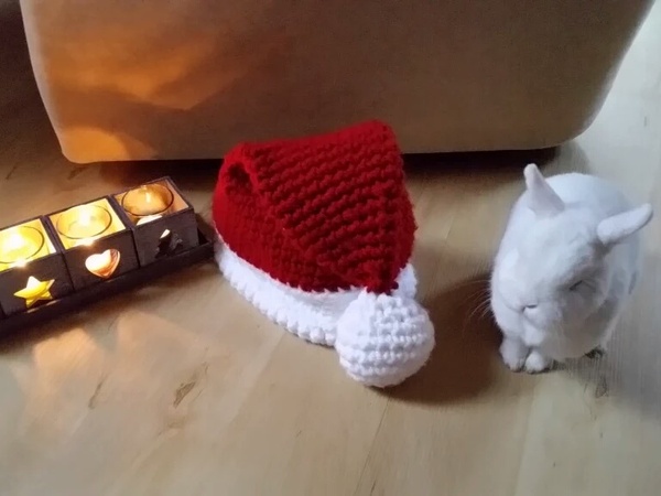 Ich bin der Weihnachtsmann!