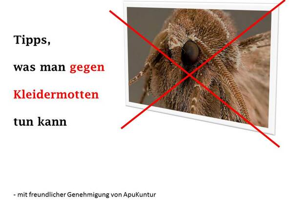 Tipps gegen Kleidermotten