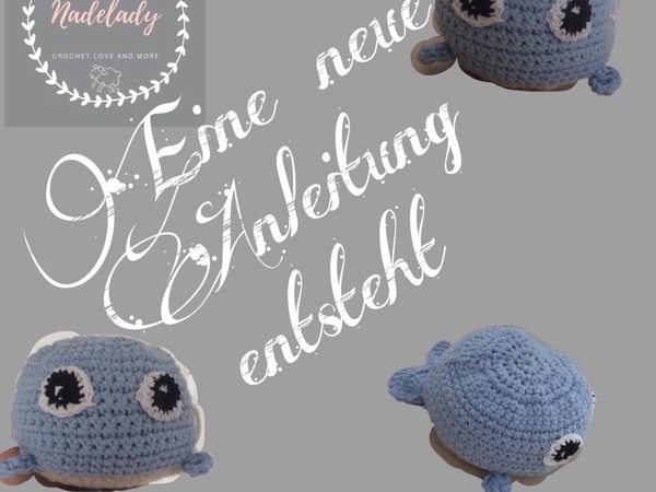 Ein kleine Wal erblickt das Licht der Welt