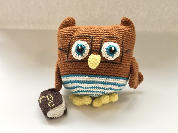 Kostenlose Anleitung Leseeule